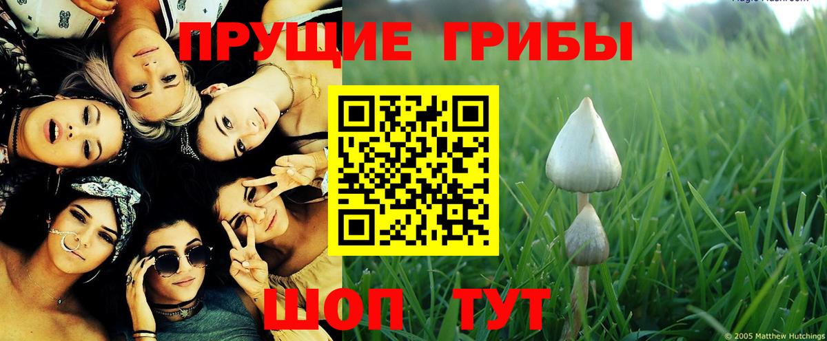 Псилоцибиновые грибы GOLDEN TEACHER Батайск